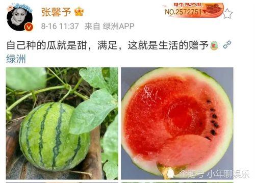 娱乐圈最近有什么瓜可以吃,明星秘闻大揭秘！