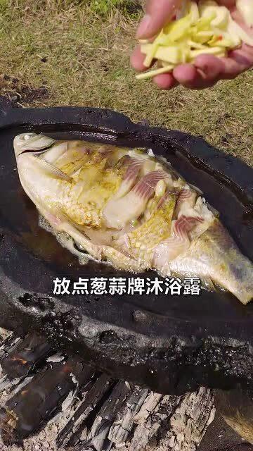 娱乐吃瓜鱼,揭秘娱乐圈那些不为人知的幕后故事
