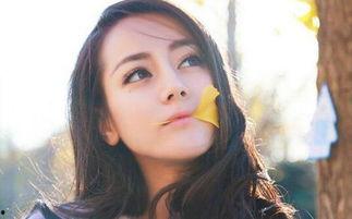 中国娱乐圈吃瓜明星小说,揭秘吃瓜明星背后的故事