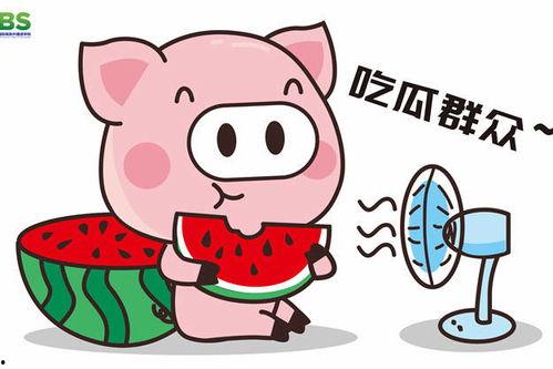 娱乐吃瓜酱补习英语,开启英语学习新篇章