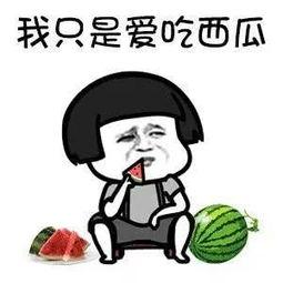 吃瓜娱乐高清在线观看