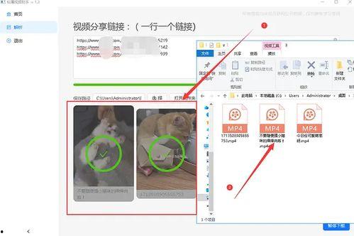 吃瓜娱乐素材视频无水印,无水印素材背后的娱乐风云