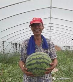 寺寺娱乐吃瓜,揭秘娱乐圈吃瓜背后的真相