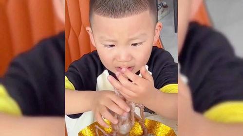 娱乐吃瓜酱小男孩,揭秘娱乐圈背后的故事