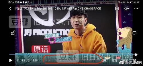 娱乐在线吃瓜周杰伦视频,带你领略音乐天王的多面人生