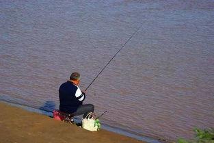 娱乐吃瓜钓鱼视频下载安装,娱乐吃瓜钓鱼视频，轻松安装体验新乐趣