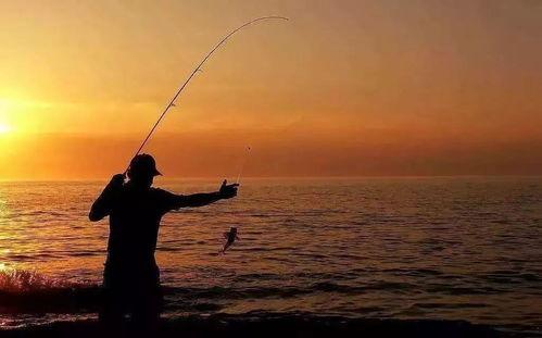 娱乐吃瓜钓鱼视频下载安装,娱乐吃瓜钓鱼视频，轻松安装体验新乐趣