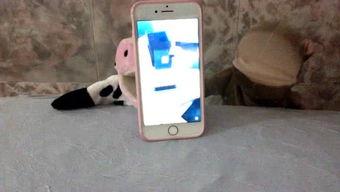 娱乐吃瓜酱手机,揭秘娱乐圈幕后故事，带你领略明星生活点滴