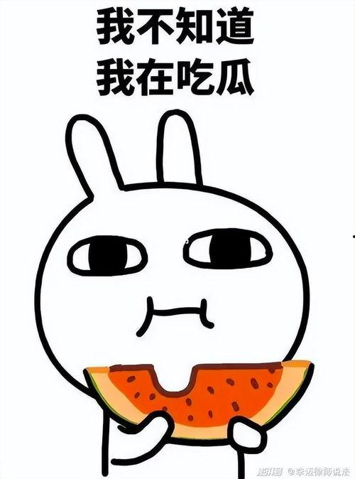 娱乐吃瓜小象微博,揭秘娱乐圈幕后故事