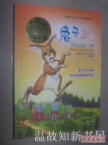 娱乐吃瓜兔子小说免费阅读